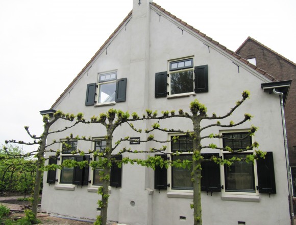 Paneel luiken